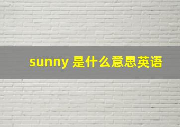 sunny 是什么意思英语