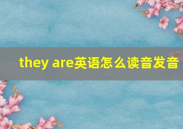 they are英语怎么读音发音