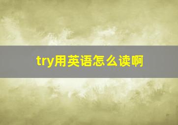 try用英语怎么读啊