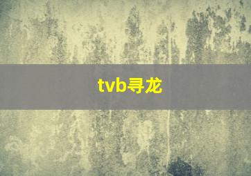 tvb寻龙