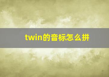 twin的音标怎么拼