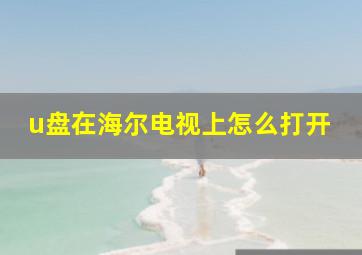 u盘在海尔电视上怎么打开