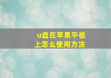 u盘在苹果平板上怎么使用方法