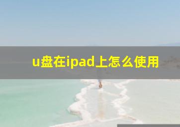 u盘在ipad上怎么使用