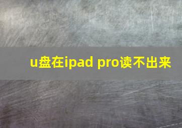 u盘在ipad pro读不出来