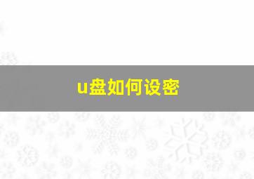 u盘如何设密