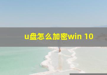 u盘怎么加密win 10