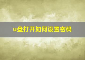 u盘打开如何设置密码