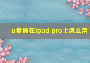 u盘插在ipad pro上怎么用