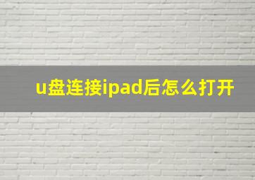 u盘连接ipad后怎么打开