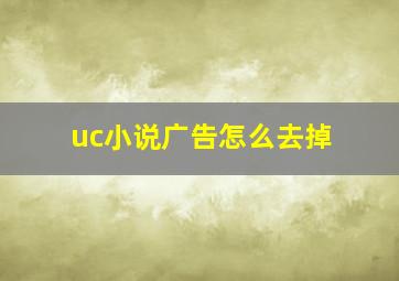 uc小说广告怎么去掉