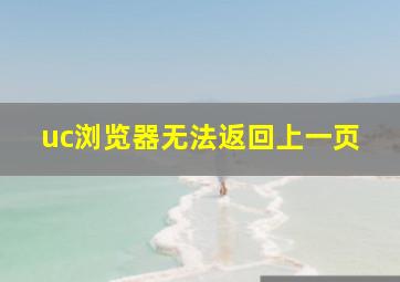 uc浏览器无法返回上一页