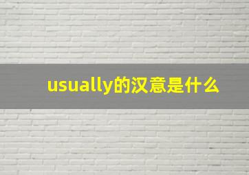 usually的汉意是什么