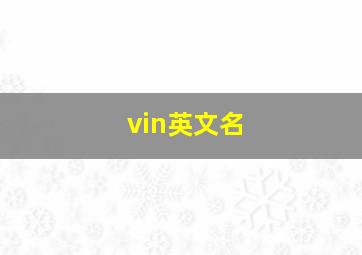 vin英文名