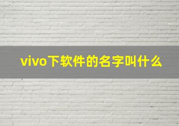 vivo下软件的名字叫什么