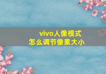 vivo人像模式怎么调节像素大小