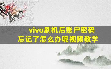 vivo刷机后账户密码忘记了怎么办呢视频教学