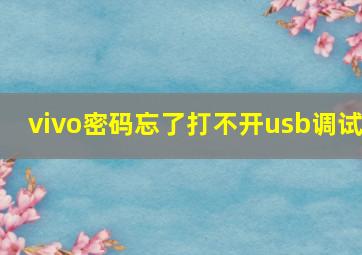 vivo密码忘了打不开usb调试