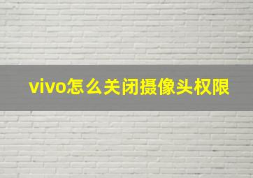 vivo怎么关闭摄像头权限