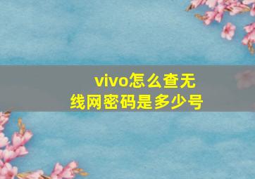 vivo怎么查无线网密码是多少号