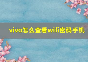 vivo怎么查看wifi密码手机