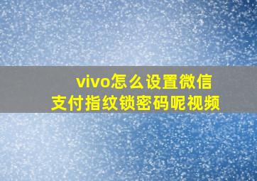 vivo怎么设置微信支付指纹锁密码呢视频