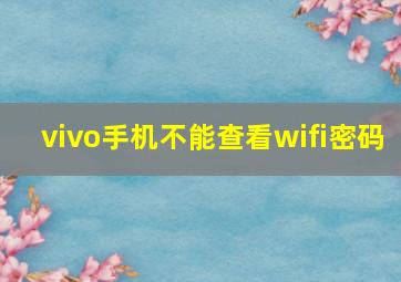 vivo手机不能查看wifi密码