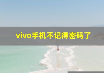 vivo手机不记得密码了