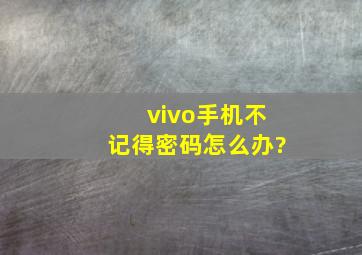 vivo手机不记得密码怎么办?