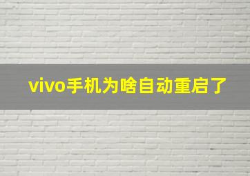 vivo手机为啥自动重启了