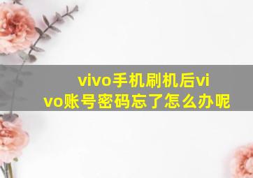 vivo手机刷机后vivo账号密码忘了怎么办呢