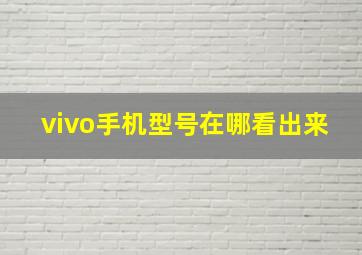 vivo手机型号在哪看出来