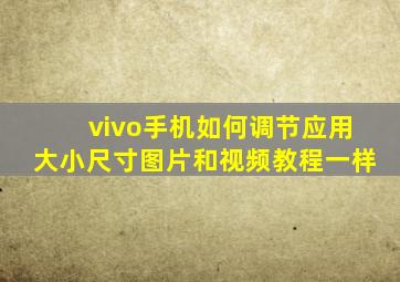 vivo手机如何调节应用大小尺寸图片和视频教程一样