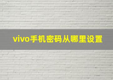 vivo手机密码从哪里设置