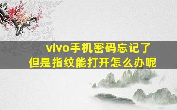 vivo手机密码忘记了但是指纹能打开怎么办呢