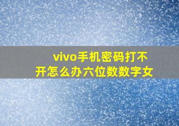 vivo手机密码打不开怎么办六位数数字女