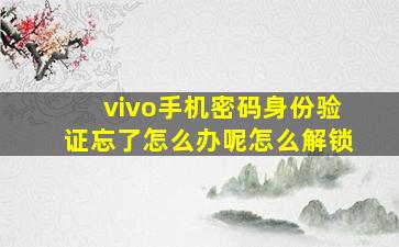 vivo手机密码身份验证忘了怎么办呢怎么解锁