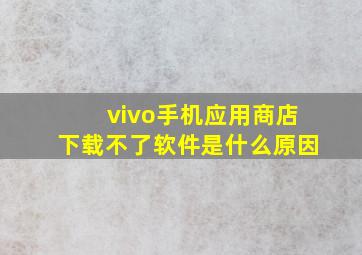 vivo手机应用商店下载不了软件是什么原因