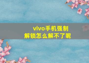 vivo手机强制解锁怎么解不了呢