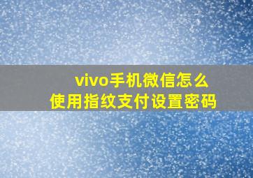 vivo手机微信怎么使用指纹支付设置密码