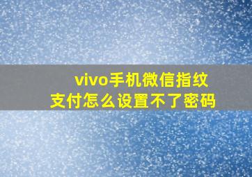 vivo手机微信指纹支付怎么设置不了密码