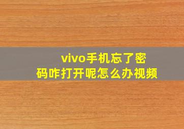 vivo手机忘了密码咋打开呢怎么办视频