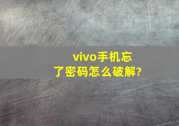 vivo手机忘了密码怎么破解?