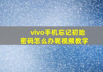 vivo手机忘记初始密码怎么办呢视频教学