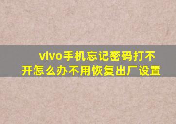 vivo手机忘记密码打不开怎么办不用恢复出厂设置