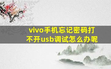 vivo手机忘记密码打不开usb调试怎么办呢