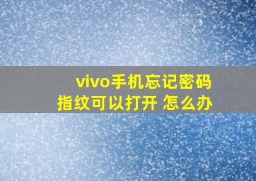 vivo手机忘记密码指纹可以打开 怎么办