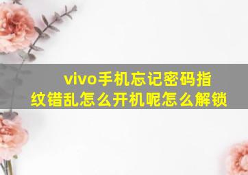 vivo手机忘记密码指纹错乱怎么开机呢怎么解锁