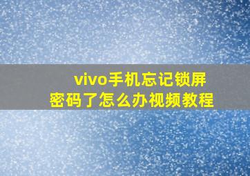 vivo手机忘记锁屏密码了怎么办视频教程