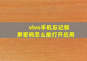 vivo手机忘记锁屏密码怎么能打开应用